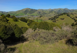 Marin county